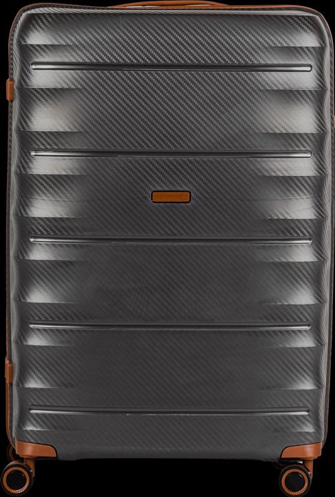 Actual product image Swissbags Prestige (105 l, L (90 - 115l))