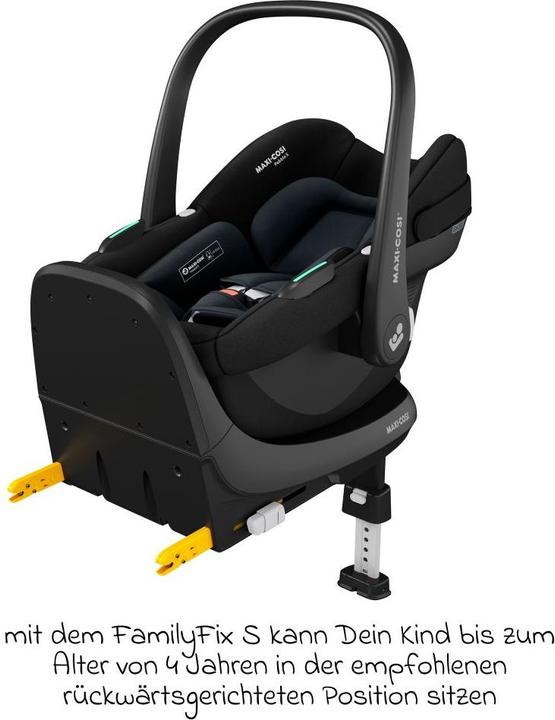 Actual product image Maxi-Cosi Basic FamilyFix