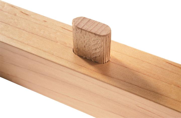 Immagine prodotto Festool Tasselli Domino Faggio D 14x140/70 BU (70 pz.)