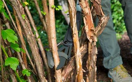 Image du produit Gardena SlimCut