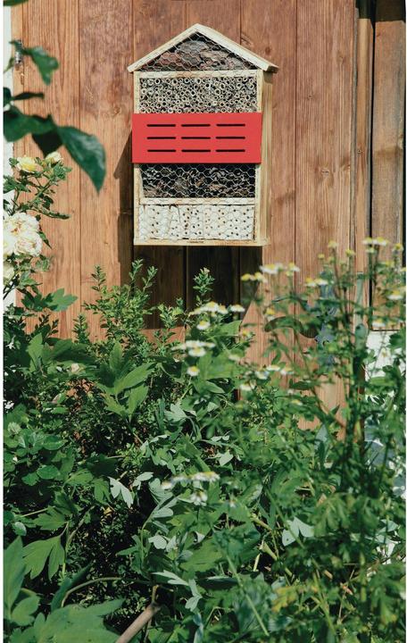Image du produit Windhager Hôtel Insect 5 étoiles (Chansons accrocheuses, Chrysanthèmes, Bourdons, Abeilles sauvages, Coccinelles)