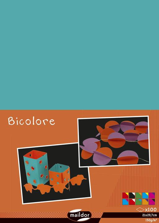 Image du produit Clairefontaine Papier Bi-Color (150 g/m², 55 x)