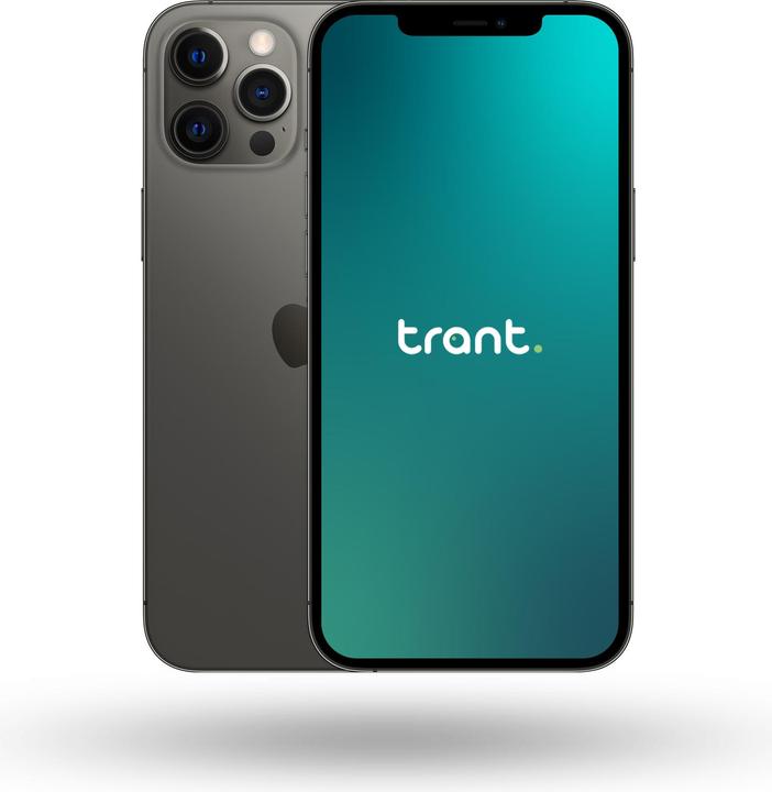 Immagine prodotto Trant.ch iPhone 12 Pro Max (256 GB, Grafite, 6.70", SIM + eSIM, A / Come nuovo)