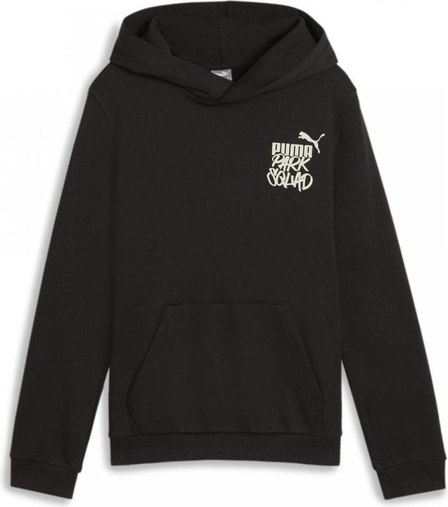 Actual product image Puma ESS+ MID 90s Hoodie FL B (176)