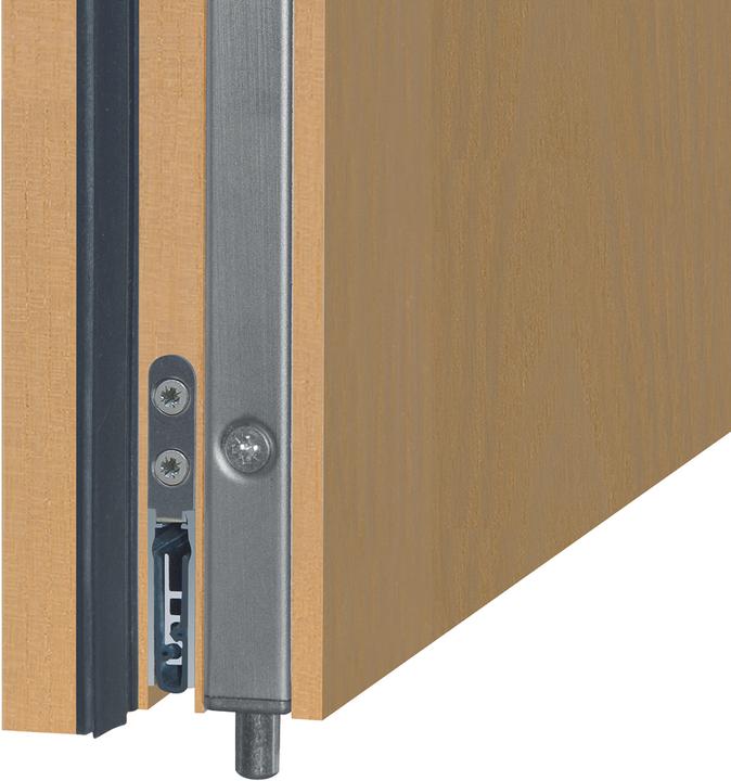 Actual product image Planet Door drop seals US