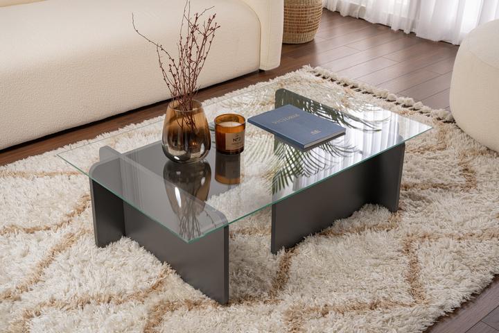 Image du produit Skye Decor Flavio Coffee Table (105 x 30 x 65 cm)