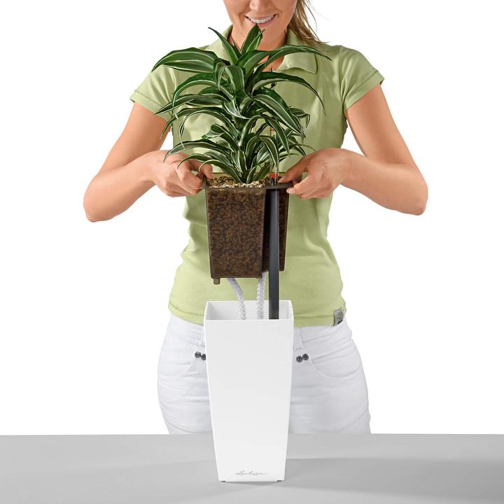 Actual product image Lechuza Planter Maxi cubi Red (14 cm)