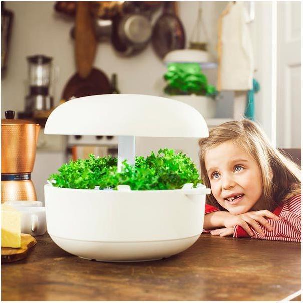 Image du produit Plantui Jardin intelligent (29 cm)
