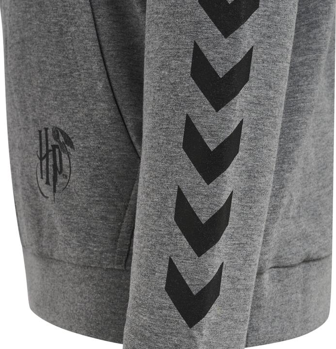Produktbild hummel Hmlharry Potter Cuatro Hoodie (176)