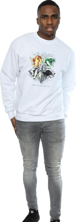 Actual product image Mens Hogwarts Painted Crest Sweatshirt (L)