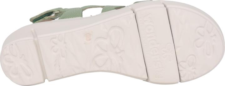 Actual product image Wonders Max (38)