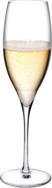 Actual product image Nude Glass Terroir (25.50 cl, 2 Glasses, Champagne glasses)