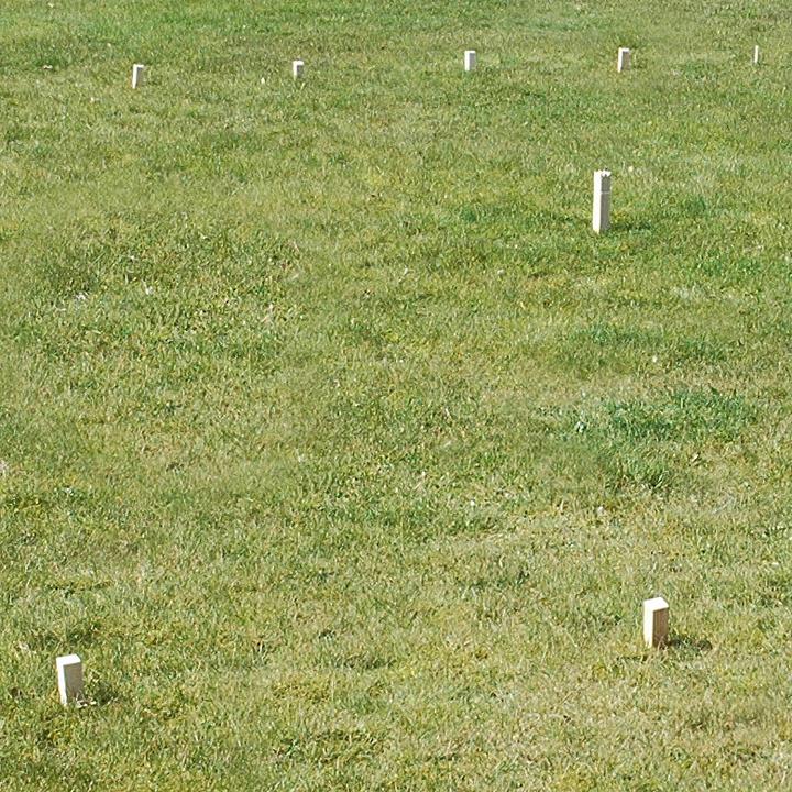 Produktbild Goki Schach Spiel KUBB Wikinger Medium