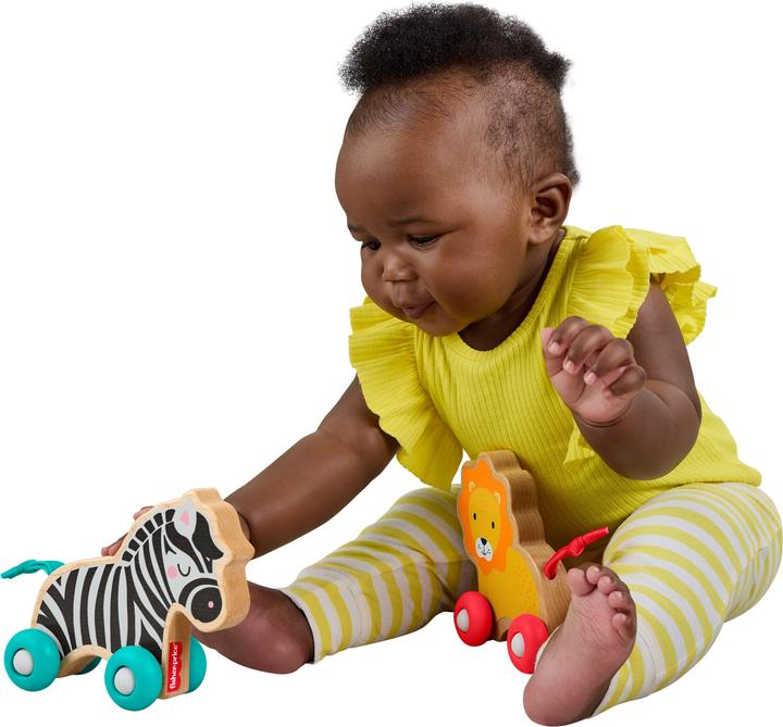 Produktbild Fisher-Price JFN19