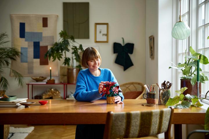 Produktbild LEGO Weihnachtsstern (10370, LEGO Icons)