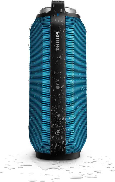 Immagine prodotto Philips Bt6600a (12 h, Batteria ricaricabile)