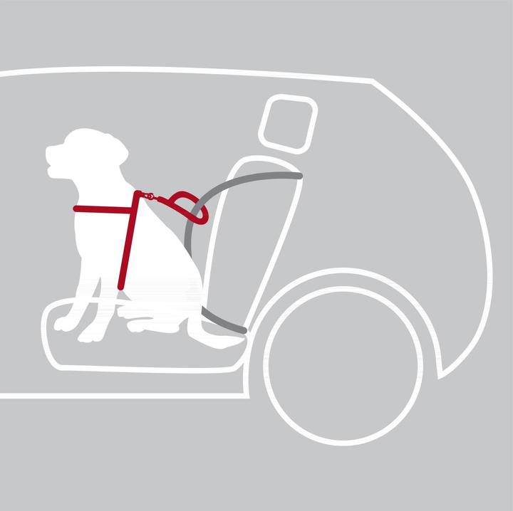 Produktbild Trixie Auto-Geschirr Dog Protect (Hund, Waschbar, Reflektoren)