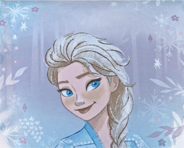 Actual product image Scooli Disney Frozen 5-piece school desk set (18 l)