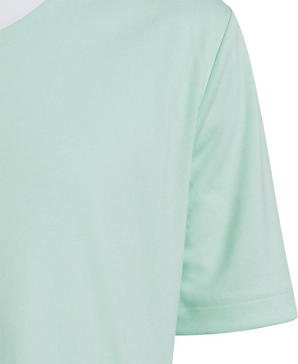 Actual product image adidas Entrada 22 Jersey (128)