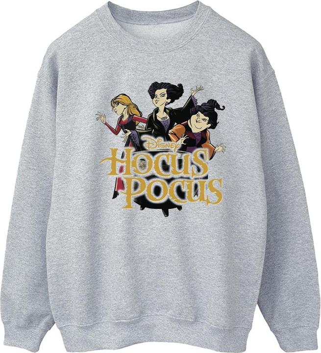 Actual product image Universal Textiles Womens/Ladies Strike A Pose Sweatshirt (S)