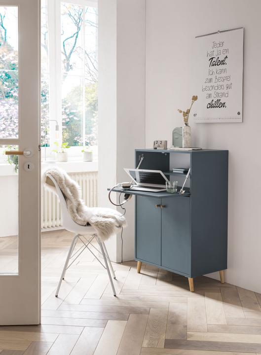 Actual product image Schildmeyer Series 500 (65.5 x 39 x 102 cm)