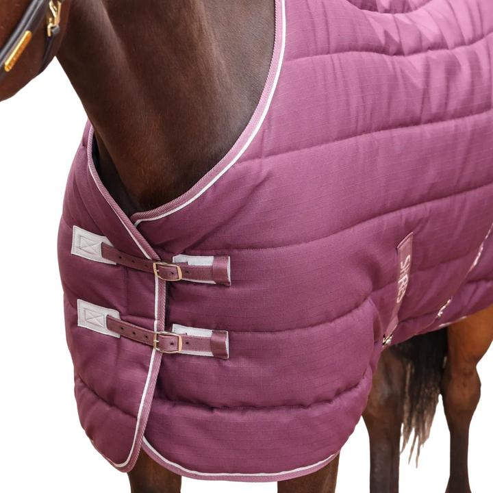 Actual product image Tempest Original Standard-Neck 300g Horse Stable Rug (121.92 cm)