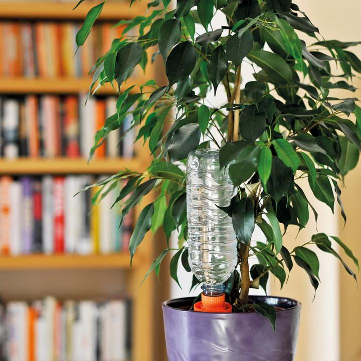 Actual product image Hozelock Holiday irrigation Aquasolo 27 (Clay cone)