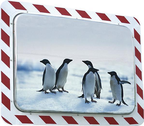 Image du produit Vialux Miroir rectangulaire anti-givre/anti-buée, rouge, blanc, h x l 600 x 800 mm.