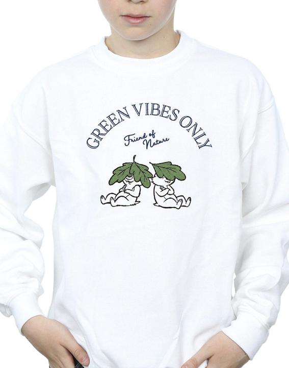 Immagine prodotto Disney Chip 'n Dale Green Vibes Only Felpa Ragazzi (152, 158)