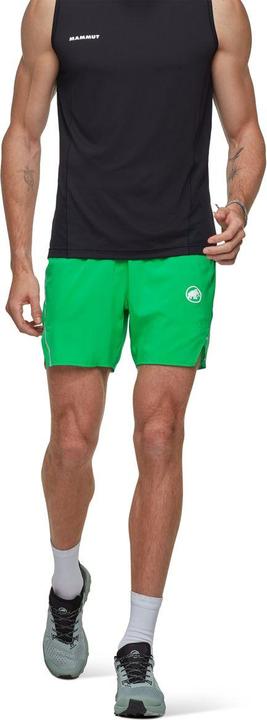Actual product image Mammut Aenergy TR Shorts (52)