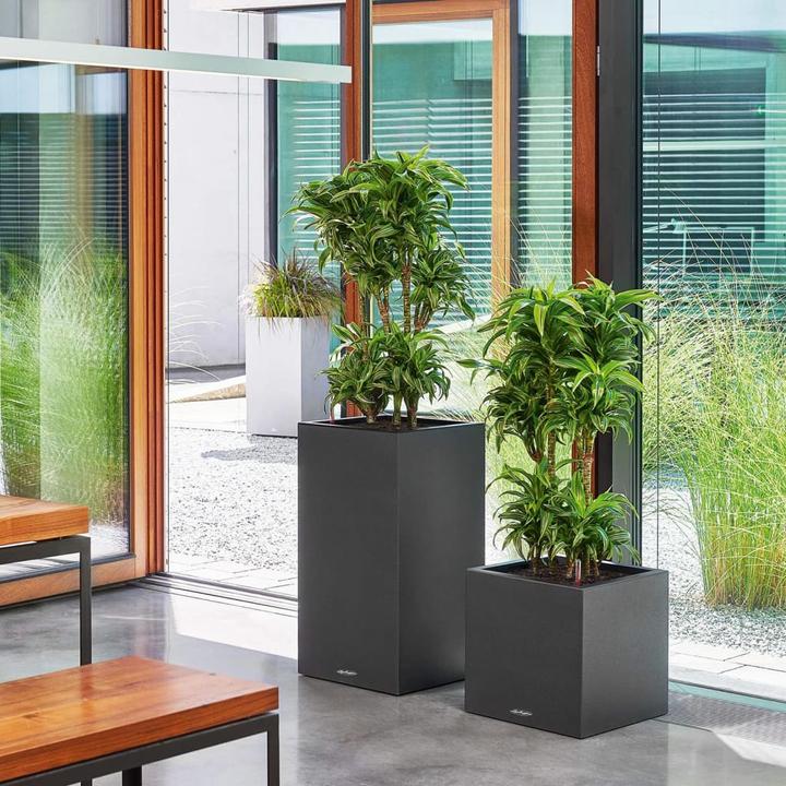 Actual product image Lechuza Canto Stone (40 cm)