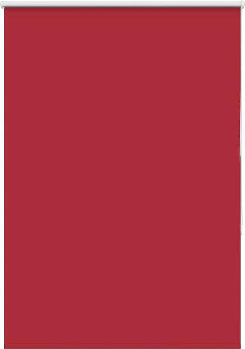 Rot