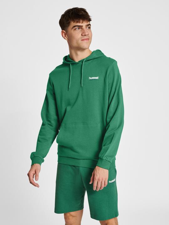 Actual product image hummel hmlLGC GABE HOODIE (L)