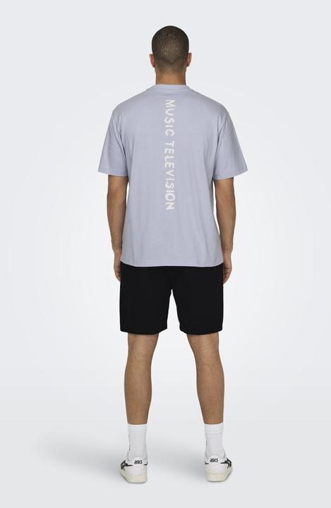 Actual product image Only & Sons Loose fit round neck T-shirt T-shirt (L)