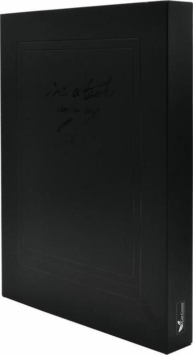 Image du produit Onyx Boox Max Lumi (13.30", 64 Go, Noir)