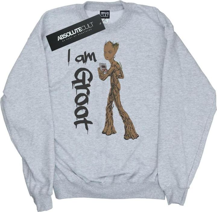 Actual product image Boys Avengers Infinity War Graffiti Groot Sweatshirt (152, 158)