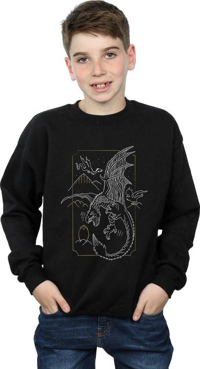 Produktbild Dragon Line Art Sweatshirt Jungen (140, 146)
