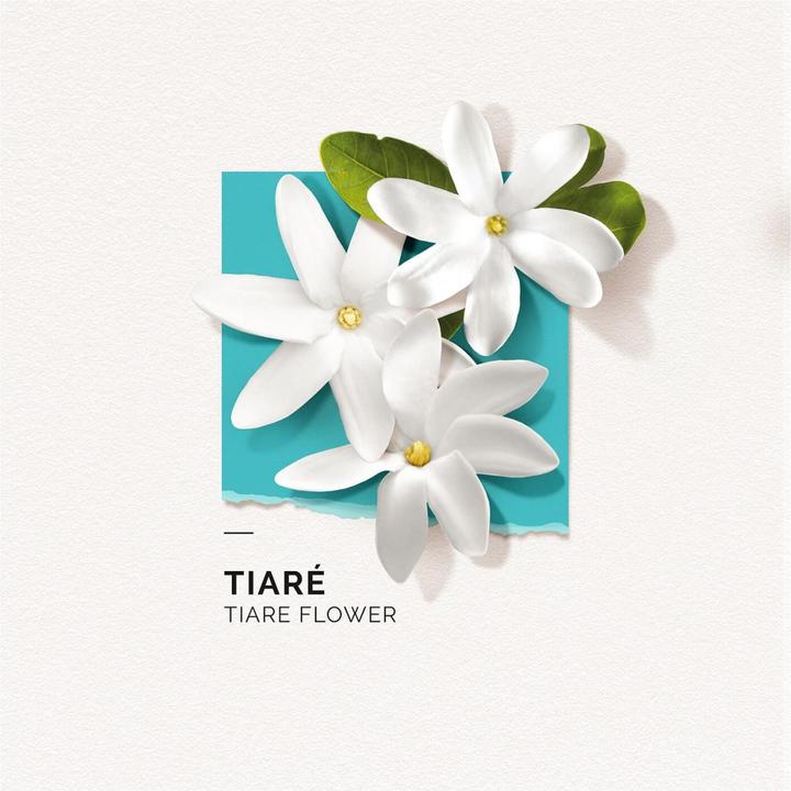 Immagine prodotto Solinotes Paris Solinotes - Tiaré Eau De Parfum (Eau de parfum, 15 ml)