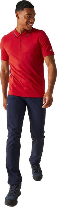 Image du produit Regatta - Polo FORLEY - Homme (S)