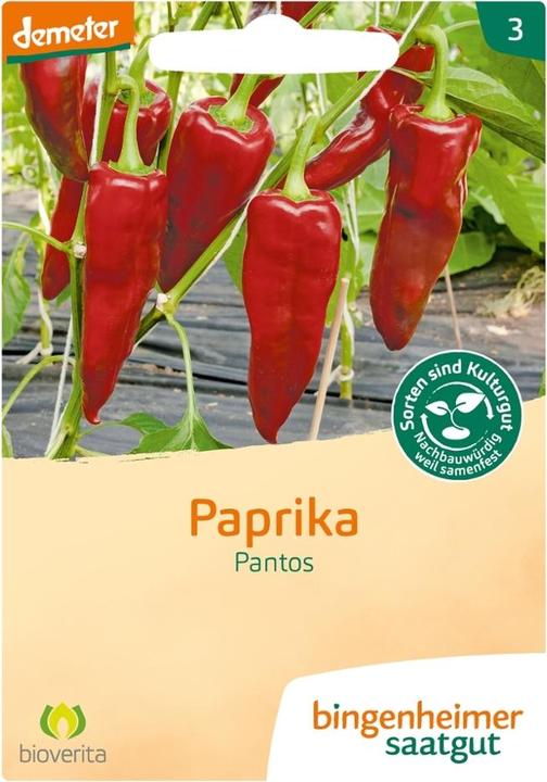 Bingenheimer Saatgut Paprika Pantos (Keimlinge)