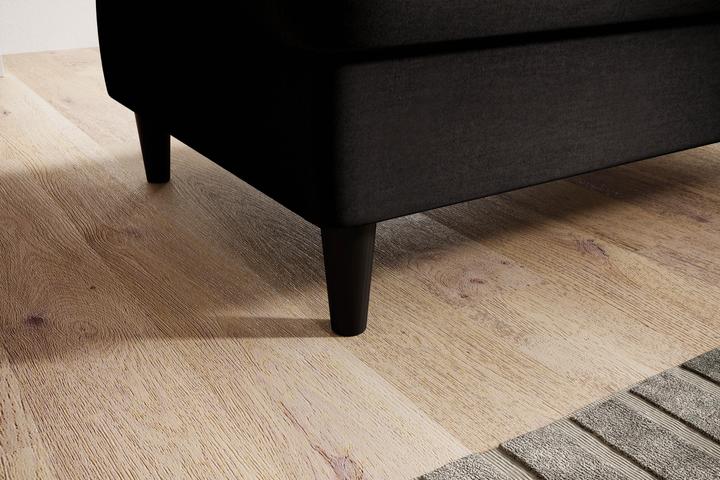 Actual product image ELTAP Bellis
