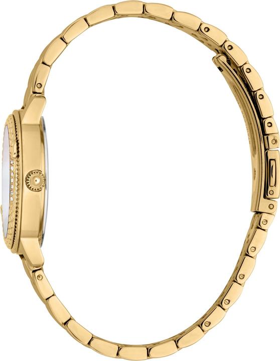 Immagine prodotto Just Cavalli Uhren-Set (Orologio da polso analogico, 30 mm)