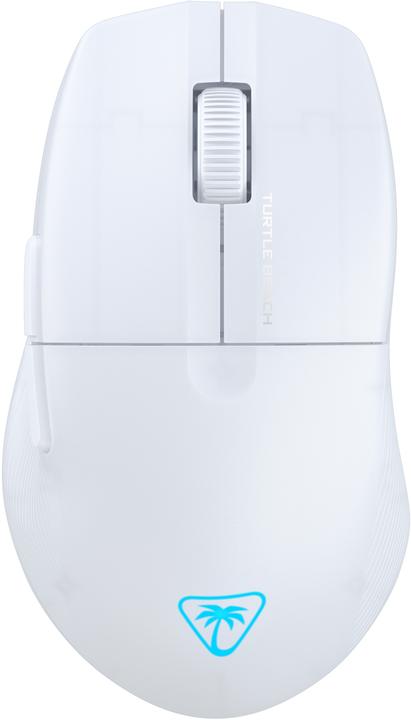 Blanc, Translucent