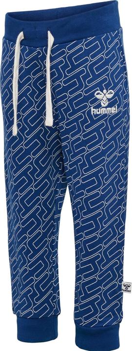 Image du produit hummel hmlLOGUN PANTS (80)