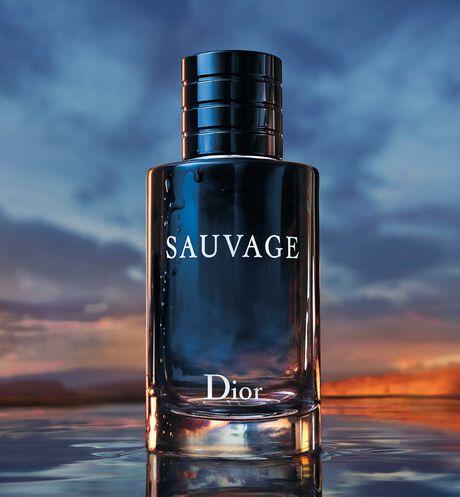 Image du produit Dior Sauvage (Eau de toilette, 200 ml)