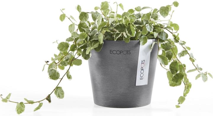 Actual product image Ecopots Amsterdam Mini (10.50 cm)