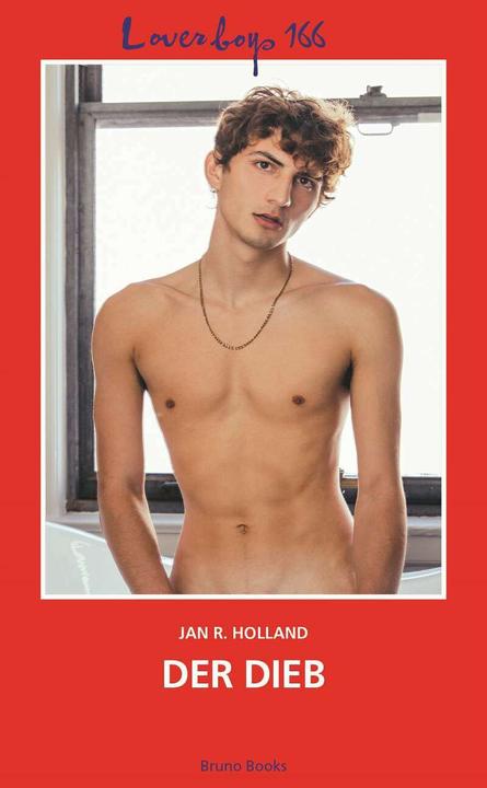 Produktbild Loverboys 166: Der Dieb (Deutsch, Jan R. Holland, 2021)