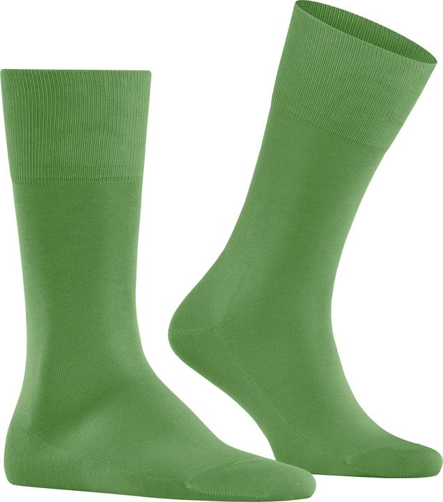 Image du produit Falke Tiago Hommes (43 - 44)