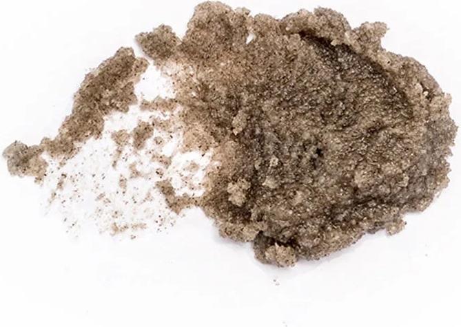 Actual product image Angan Icelandic Moss Salt Scrub (300 ml)
