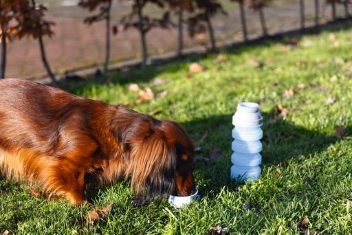 Actual product image Beeztees Drinking bottle (0.55 l)